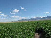 more sulpher creek 044.jpg20120206114332